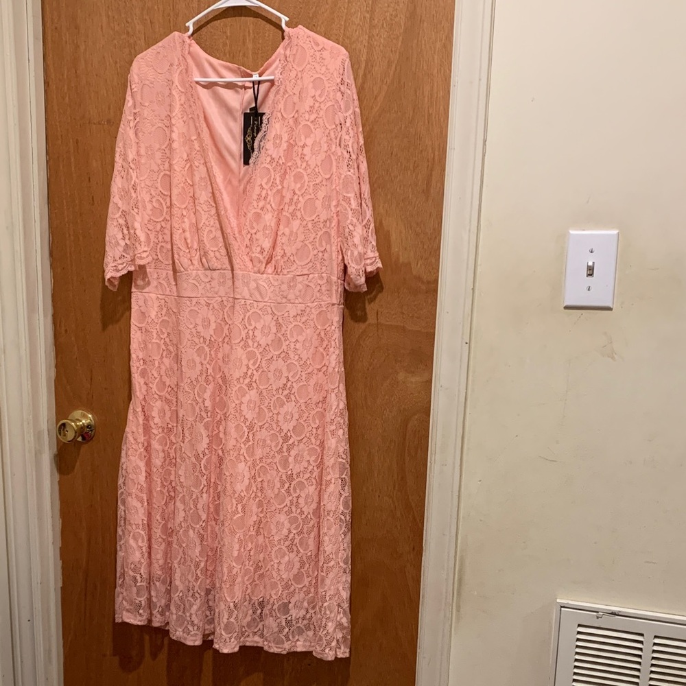 Elegant Pink Lace Dress size 22.